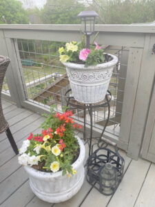 shopatblu planting succulent garden decor and tips spring planters