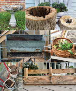 shopatblu planting succulent garden decor and tips thrift store decor team