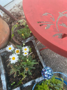 shopatblu upcylced metal garden decor garden daisy