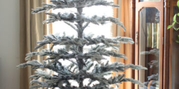 shopatblu diy orange slice ornament noble pine