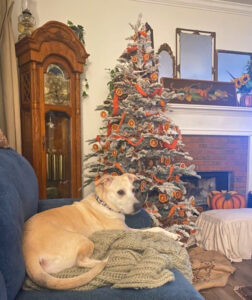 shopatblu Fall Christmas Tree family room