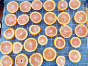 shopatblu diy orange slice ornament layers