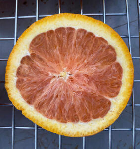 shopatblu diy orange slice ornament grapefruit