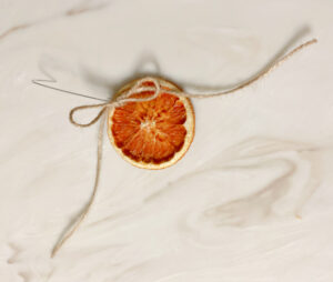 shopatblu diy orange slice ornament twine ribbon