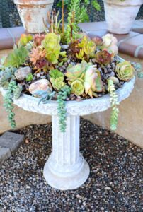 shopatblu thrift store decor succulent bird bath