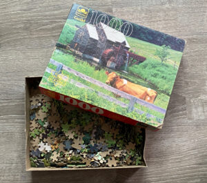shopatblu puzzle art before