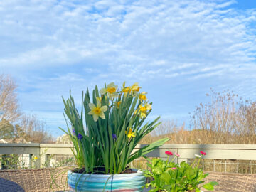 shopatblu the blue building upcycle pots with paint and Easter plants