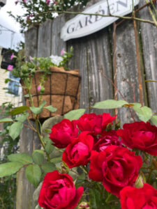 shopatblu the blue building antiques diy garden hanging planter roses