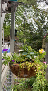 shopatblu the blue building antiques diy garden hanging planter final
