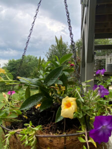 shopatblu the blue building antiques diy garden hanging planter hung