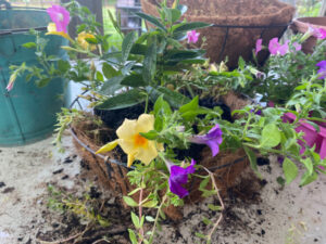 shopatblu the blue building antiques diy garden hanging planter filled