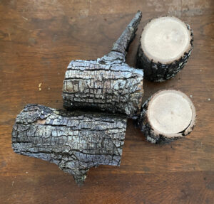 shopatblu the blue building antiques vintage wood pumpkins stems from a branch