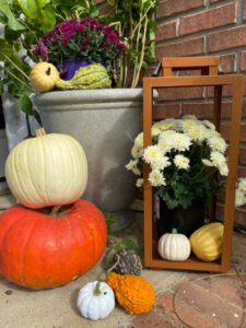 shopatblu outdoor lanterns upcycle indoor decor heirloom pumpkins