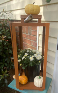 shopatblu outdoor lanterns upcycle indoor decor mums