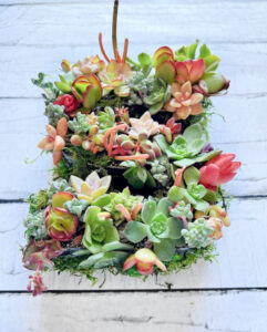 shopatblu thrift store decor team favorite diy projects succulents