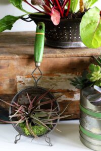 shopatblu thrift store decor team favorite diy projects vintage kitchen tools