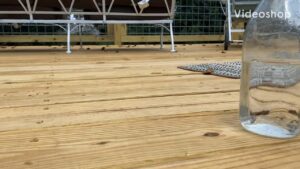 video-Shopatblu-New-Deck-Water-Test-poster