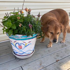 shopatblu upcycled antique radio table painted pot refresh