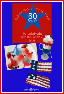 shopatblu tsdt patriotic projects pin