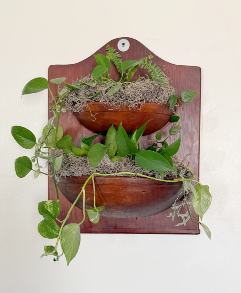 shopatblu vintage wood wall pocket plants
